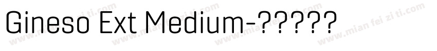 Gineso Ext Medium字体转换